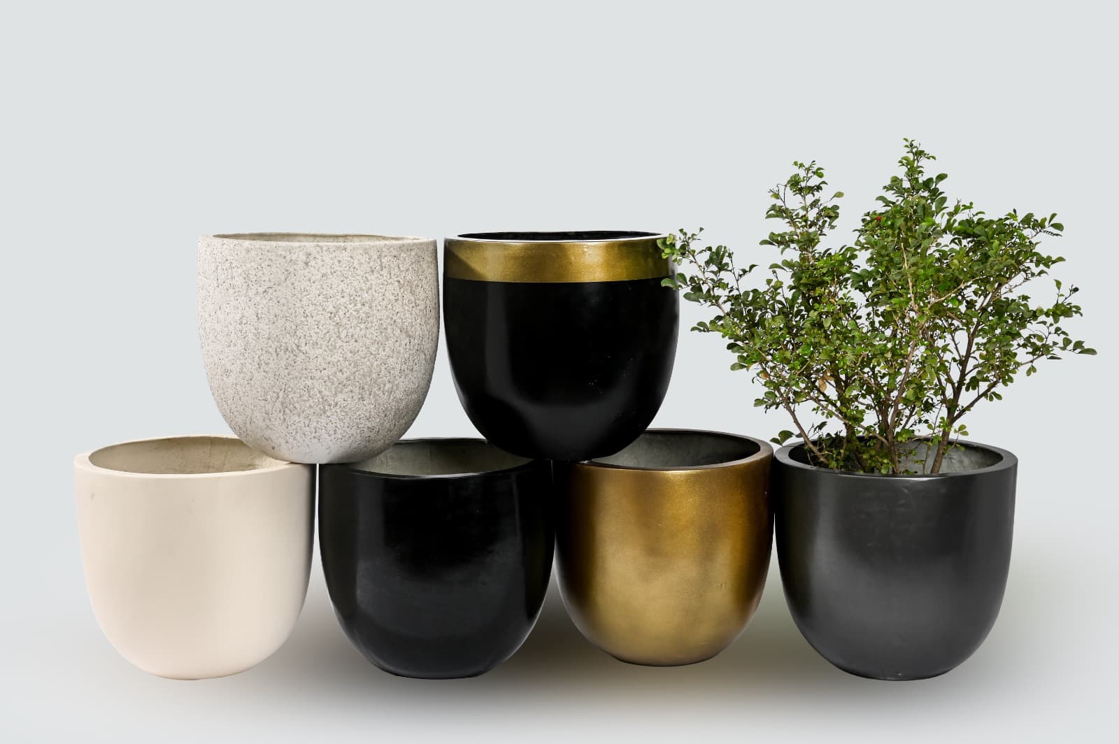 Designer Planters