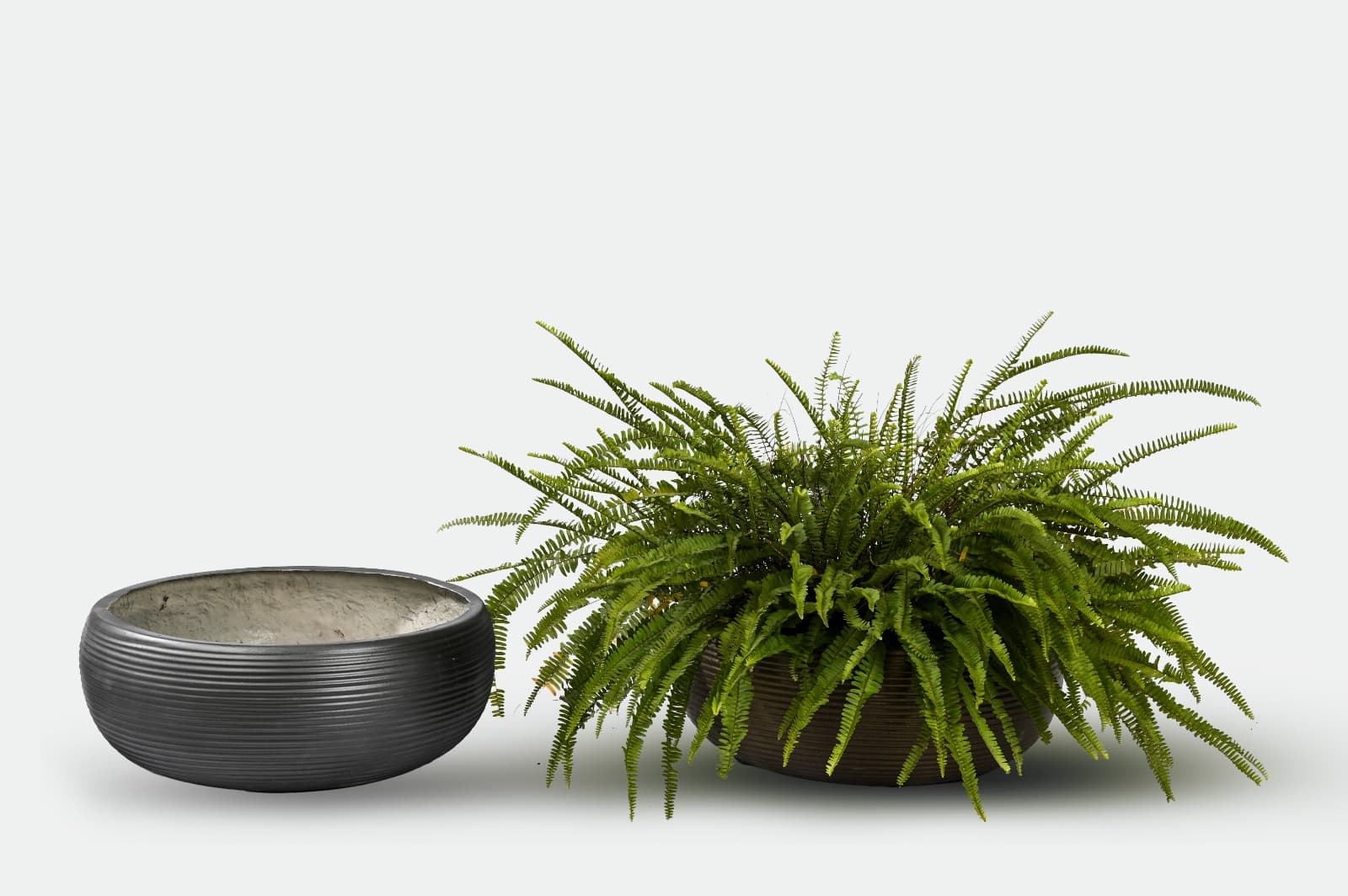 JIGO Planter 10