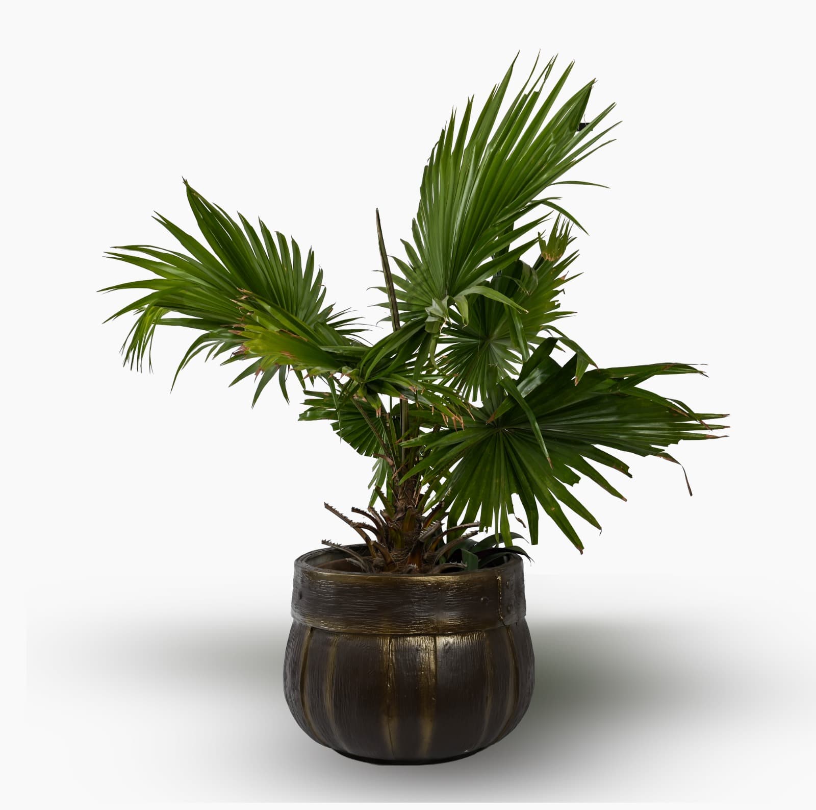 JIGO Planters Collection 2